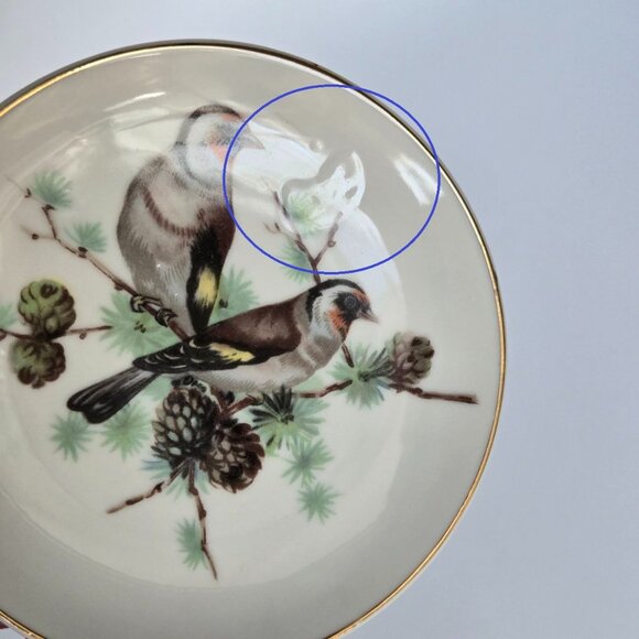BIRDS! Set of 6 Vintage Bird Wall Plates – Mini Bird Plates with gold rim JAPAN - Picture 12 of 12
